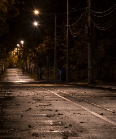 il-lato-notturno-della-vita