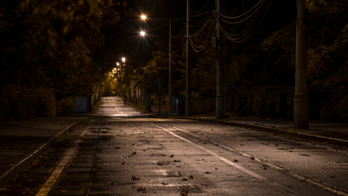 il-lato-notturno-della-vita