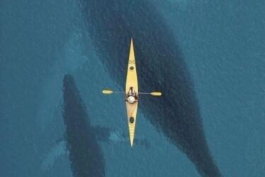 navigare-a-vista