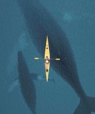 navigare-a-vista
