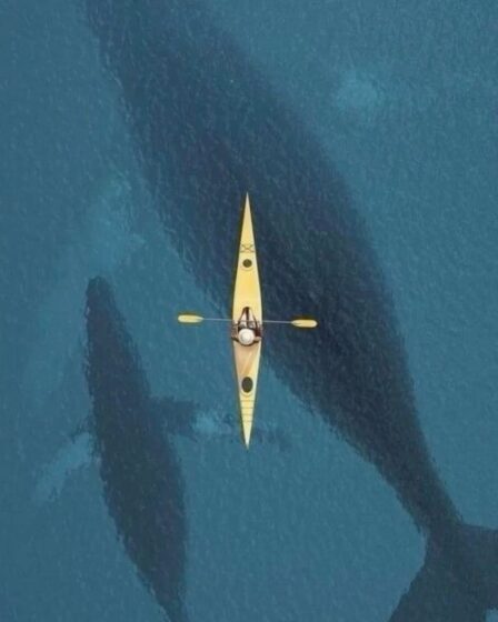 navigare-a-vista