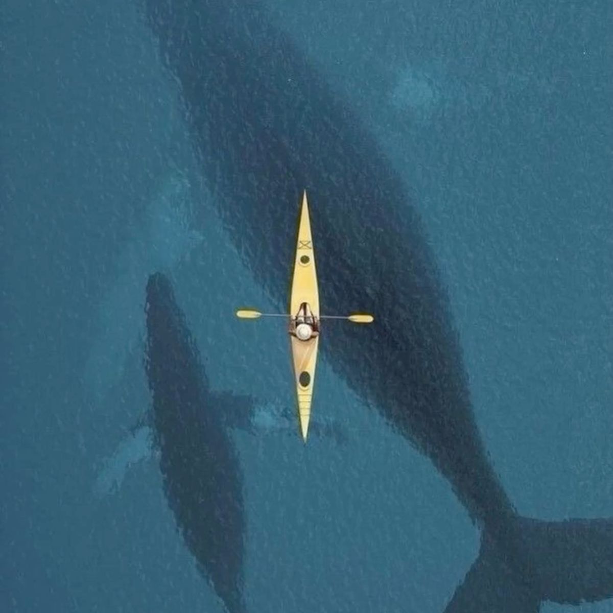 navigare-a-vista